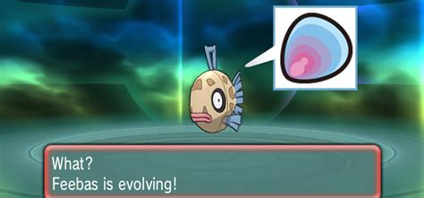 how to get milotic in oras
