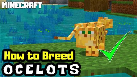 how to get ocelots in minecraft