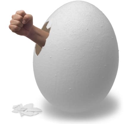 how to get out of your shell