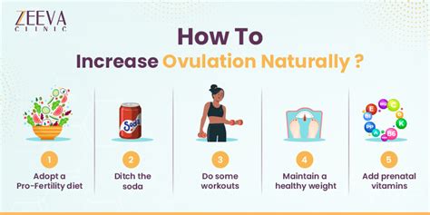 how to get ovulation fast naturally
