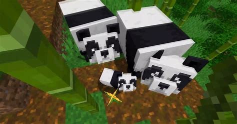 how to get pandas in minecraft