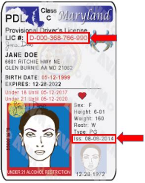 how to get provisional license in md