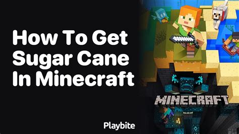 how to get sugar in minecraft