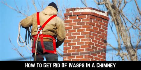 how to get wasps out of a chimney