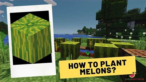 how to get watermelon in minecraft