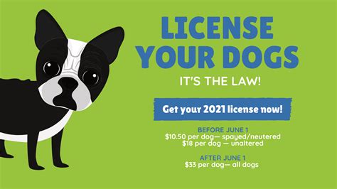 how to get your dog licensed