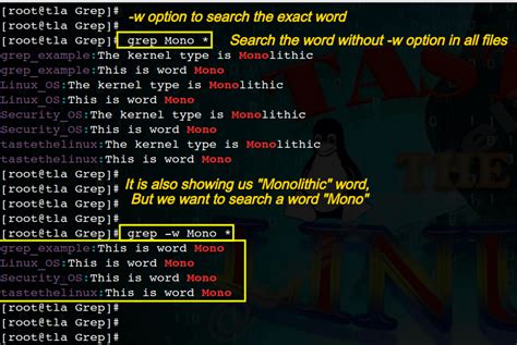 how to grep exact word in linux