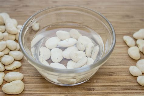 How To Grow A Lima Bean In A Lima Bean Science Experiment - Lima Bean Science Experiment
