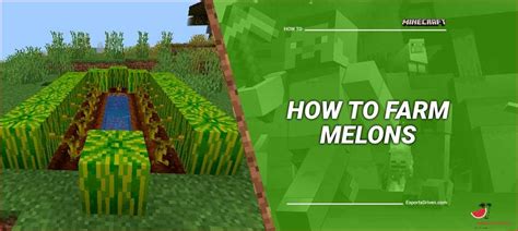 how to harvest melons in minecraft