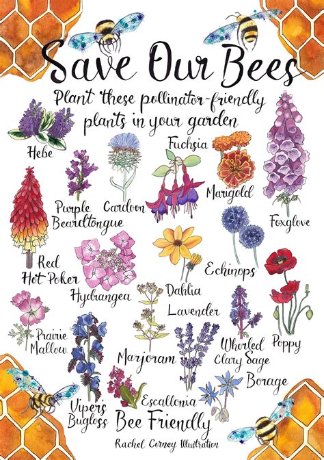 how to help bees in garden