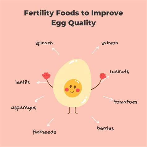 How To Improve Egg Quality The Smart Way To Get Pregnant