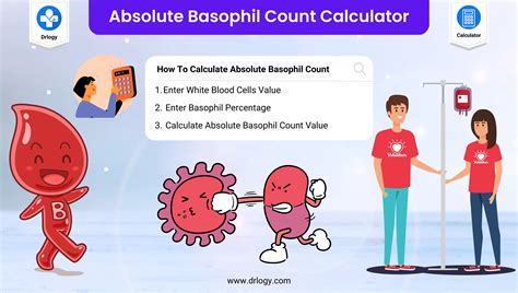 how to increase basophils count in blood