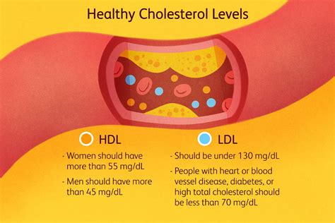 how to increase cholesterol in body