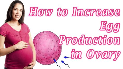 how to increase egg production in ovary