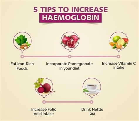 how to increase hemoglobin in a day
