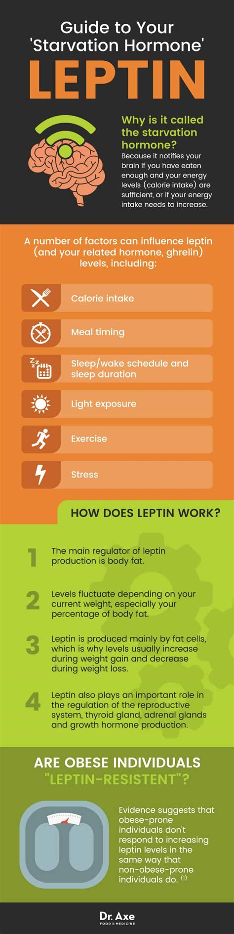 how to increase leptin in my body
