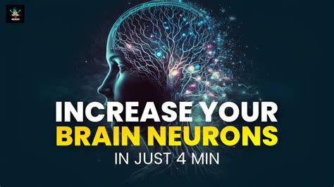 how to increase neurons in your brain