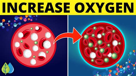 how to increase oxygen in blood cells