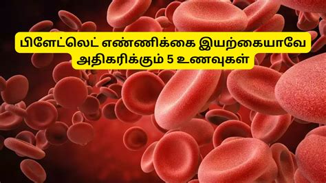 how to increase platelet count in tamil