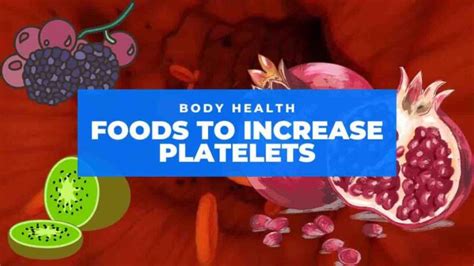 how to increase platelets in body