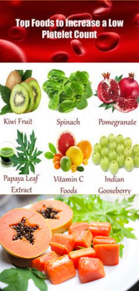how to increase platelets in our body