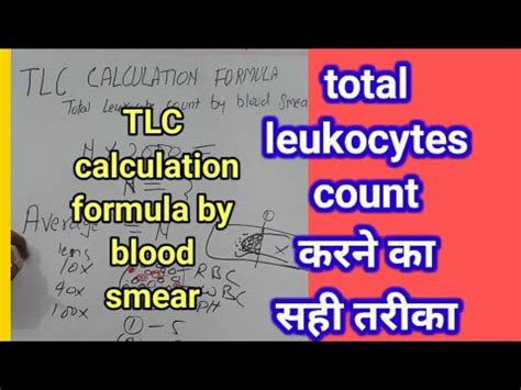 how to increase tlc count in blood