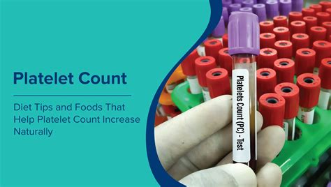 how to increase wbc and platelet count