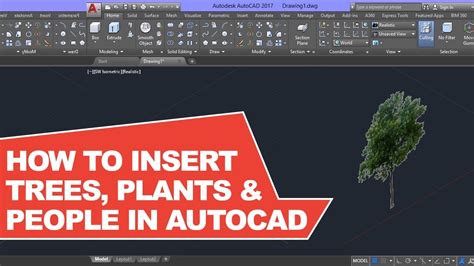 how to insert a tree in autocad