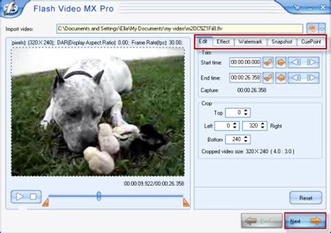 how to insert preloader in flash