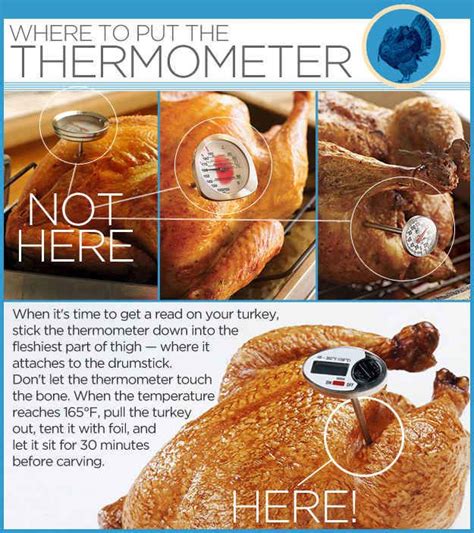 how to insert thermometer into turkey