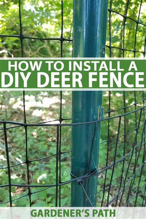 How To Install A Deer Fence To Keep How To Install Deer Fence - How To Install Deer Fence