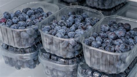 how to keep blueberries fresh in fridge