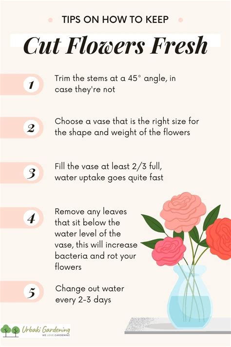 how to keep cut poppies fresh