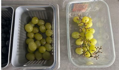 how to keep grapes fresh in refrigerator