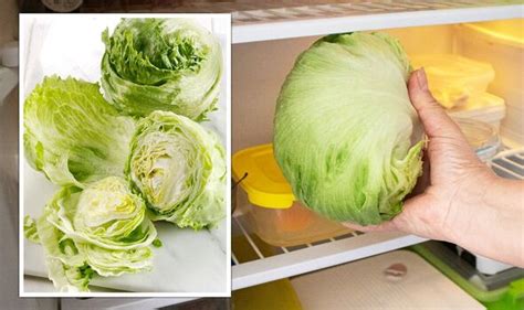 how to keep lettuce in fridge