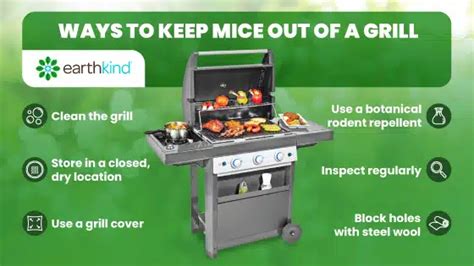 how to keep mice away from grill