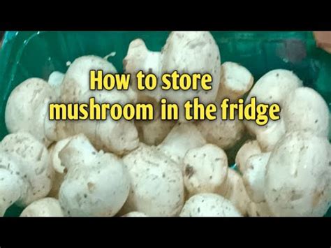 how to keep mushrooms in fridge