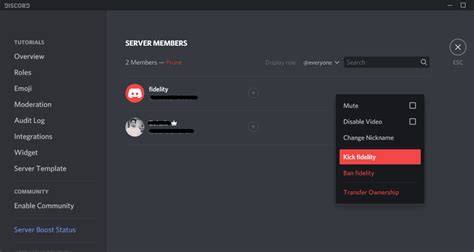 how to kick members on discord account online