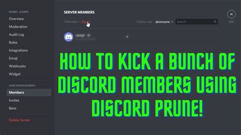 how to kick members on discord account without