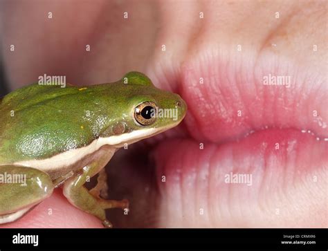 how to kiss a frog