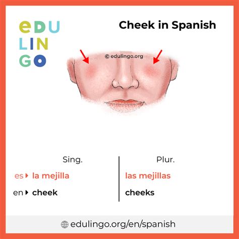 how to kiss her cheek in spanish