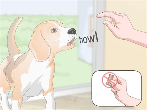 how to kiss your dog wikihow