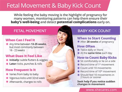how to know baby kicks during pregnancy chart