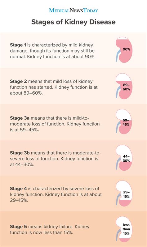 how to know kidney is damage