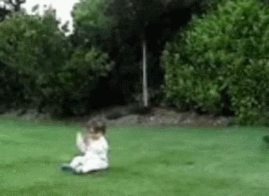 how to know when baby kicks dog gif
