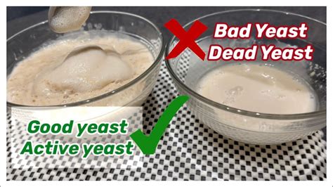 how to know yeast is active