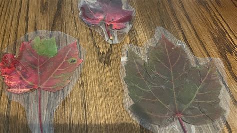 how to laminate a leaf