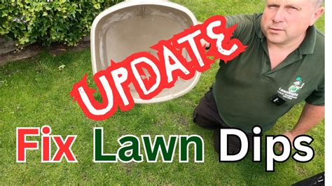 how to level dips in lawn