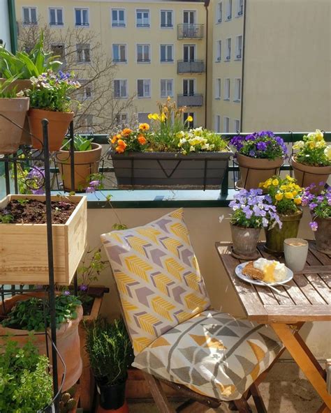 How To Make A Balcony Garden Bbc Gardeners Grow Plants In Balcony - Grow Plants In Balcony