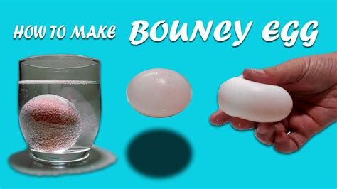 How To Make A Bouncy Egg Science Experiment Bouncy Egg Science Experiment - Bouncy Egg Science Experiment